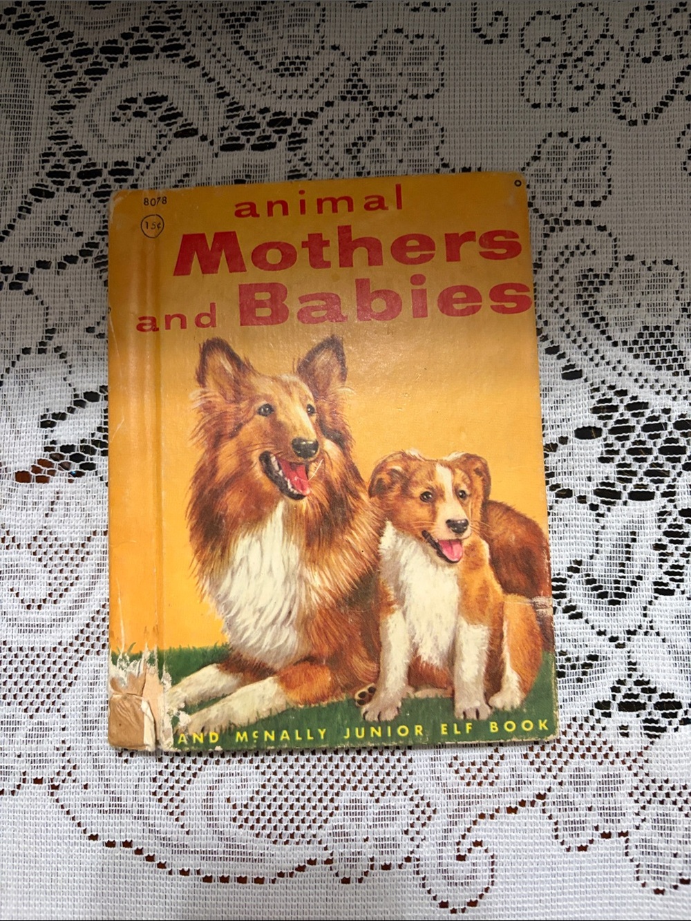 Animal Mothers and Babies - Brown Dog Illustrated Book
